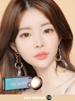 앤365 원데이 앤 브라운 10P