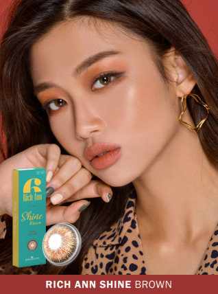 앤365 원데이 리치앤 샤인브라운 6P